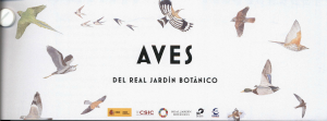 AVES DEL REAL JARDÍN BOTÁNICO