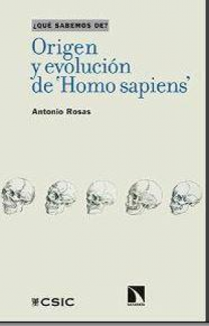 ORIGEN Y EVOLUCIÓN DE 