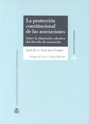 Cubierta de LA PROTECCIÓN CONSTITUCIONAL DE LAS ASOCIACIONES