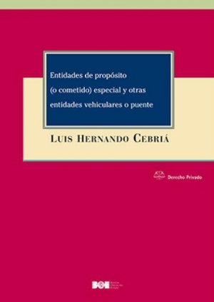 Cubierta de ENTIDADES DE PROPÓSITO (O COMETIDO) ESPECIAL Y OTRAS ENTIDADES VEHICULARES O PUENTE