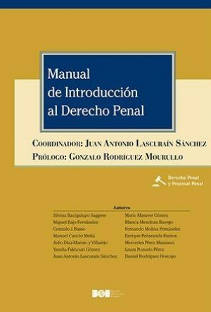 Más información de MANUAL DE INTRODUCCIÓN AL DERECHO PENAL