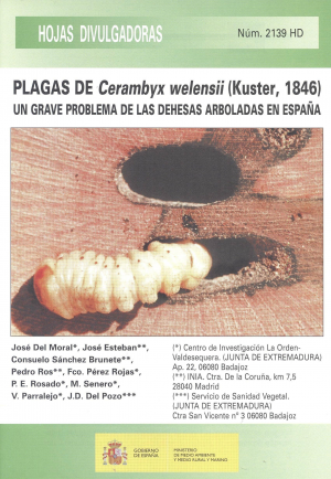 PLAGAS DE CERAMBYX WELENSII (KUSTER, 1846) . H.D. 2139