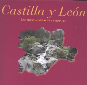 Cubierta de CASTILLA Y LEÓN: LAS AGUAS MINERALES Y TERMALES, PANORÁMICA ACTUAL Y PERSPECTIVAS DE FUTURO