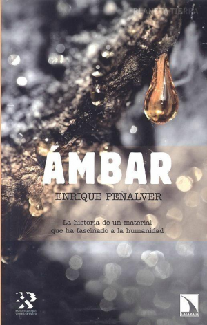 ÁMBAR