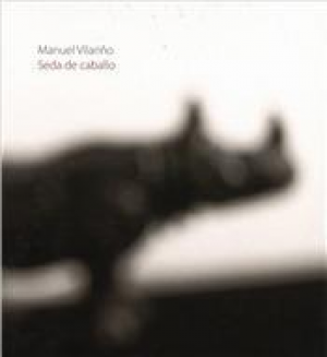 Cubierta de SEDA DE CABALLO: TABACALERA, ESPACIO PROMOCION DEL ARTE, MADRID, 13 DE SEPTIEMBRE A 24 DE NOVIEMBRE