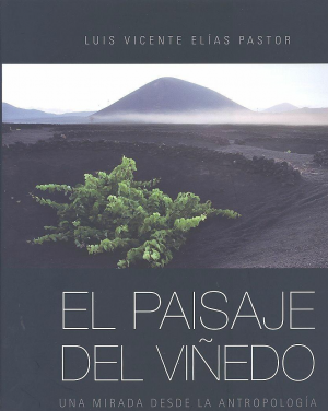 EL PAISAJE DEL VIÑEDO