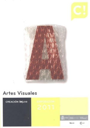 Cubierta de ARTES VISUALES 2011