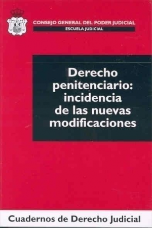 Cubierta de DERECHO PENITENCIARIO: INCIDENCIA DE LAS NUEVAS MODIFICACIONES