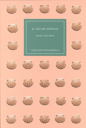 EL AÑO DEL ZOPILOTE